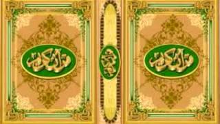 سورة الجاثية أحمد نعينع