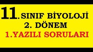 11. Sinif Bi̇yoloji̇ - 2. Dönem 1. Yazili