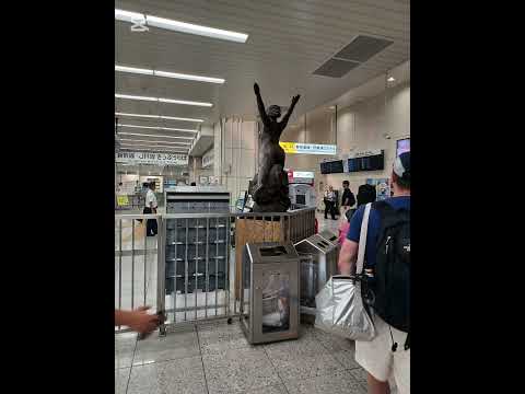 こだま707号N700系新大阪行き(東京駅17番線7:57発)2025.8.26