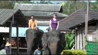 Mahout training