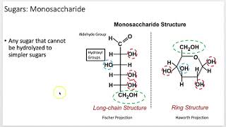 Biochemistry 101: Carbohydrates (Lecture 6 of 12)