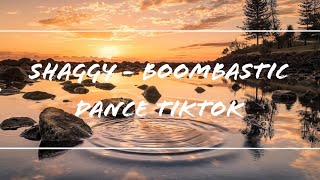 Shaggy - Boombastic Tiktok Dance | 2020