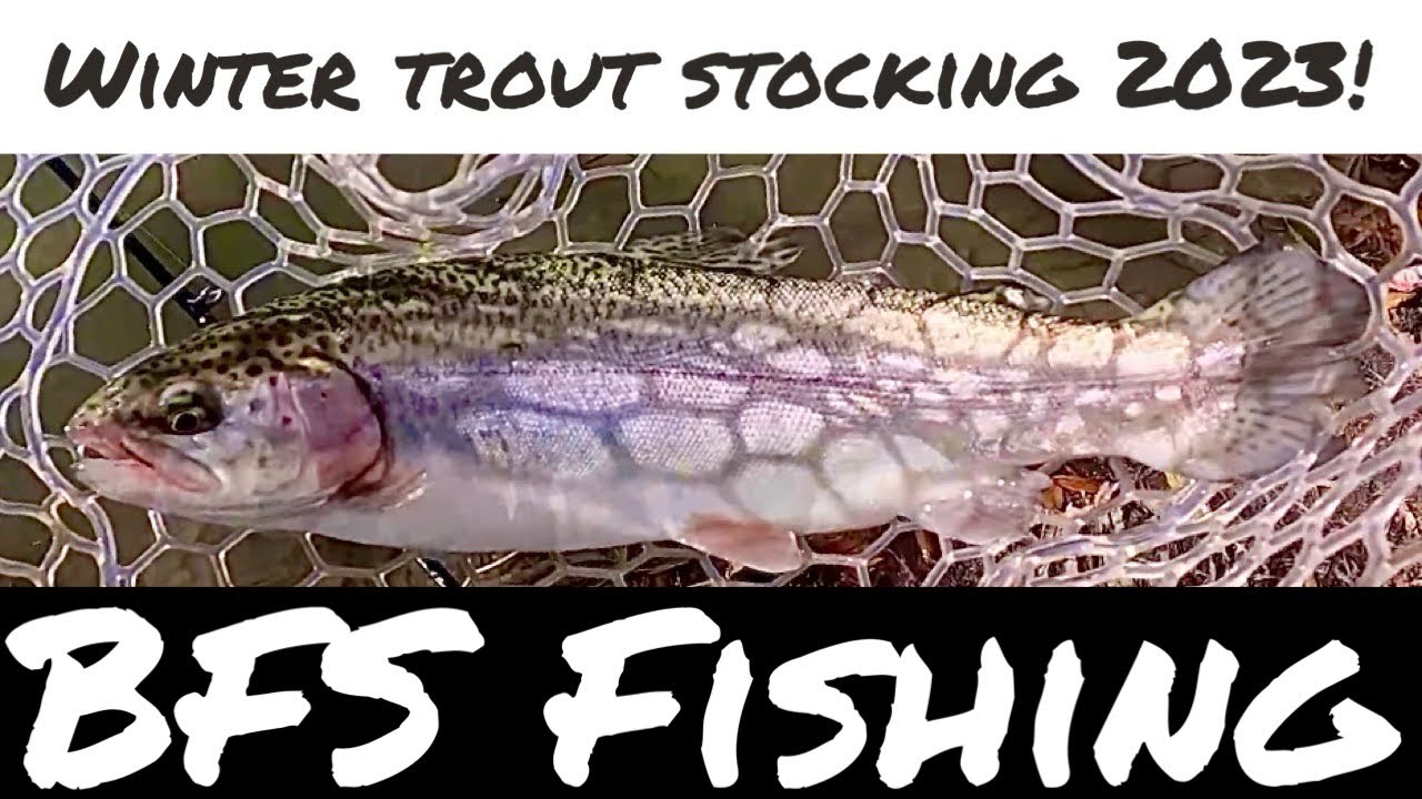BFS fishing for stocked rainbow trout! 2023 winter trout stocking