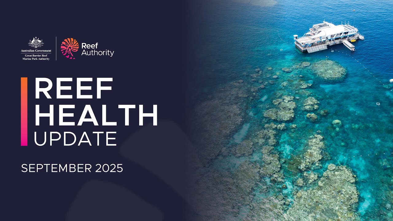 Reef health update - September 2025 | Great Barrier Reef Marine Park Authority
