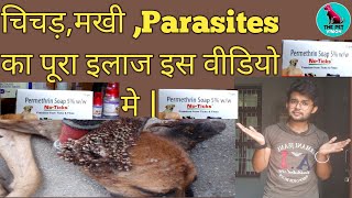 dog ticks treatment / permethrin soap / by Sahil Malik / THE PET VISION