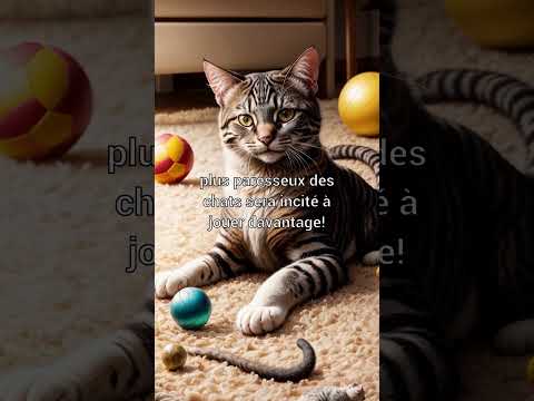Vidéo: Les chats aiment-ils la menthe ?