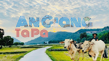 Chiêm Ngưỡng Cánh Đồng Tà Pạ Đẹp Tuyệt Ở | Tri Tôn | An Giang | TA PA Rice Field.