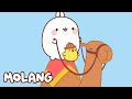 🩵✨ Molang's Animal Friends 🐪 Molang | Cartoons for Kids