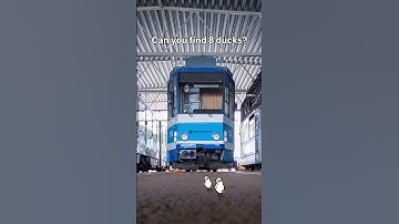 There are 8 ducks! Can you spot them all?? #fun #game #challange #puzzle