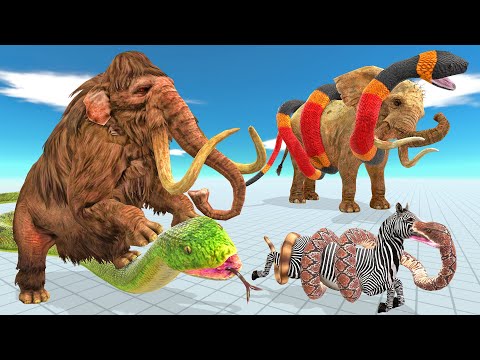 Woolly Mammoth, Elephants