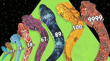 Snake Run Evolution Game - Level Up Snake Max Level Gameplay (Snake Run Evolve)