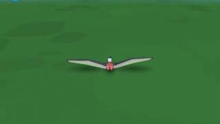 My First Tryout Out Of The Flying Dino