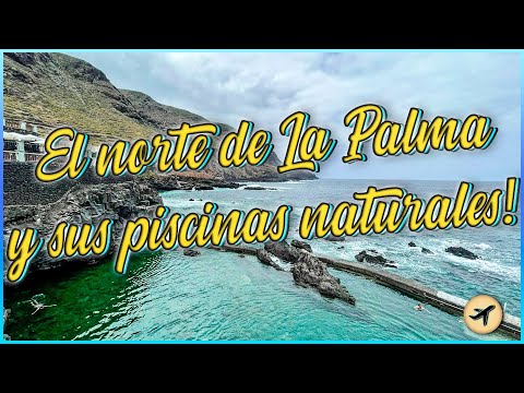The North of La Palma, Los Tilos, and incredible natural pools!