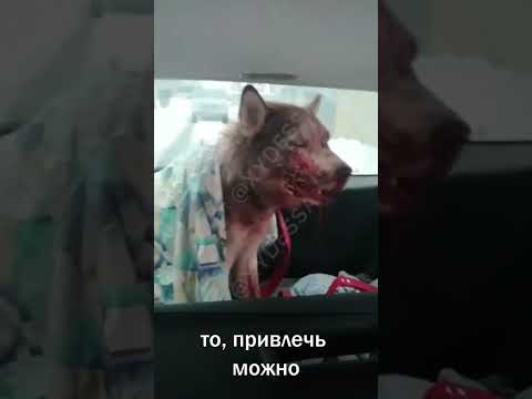 Выкидывают и убивают