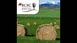Episode 129: Don't Roll the Dice on Forage Quality: Feed With a Plan