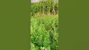 Act of letting go! | Irrfan Khan | life of pi