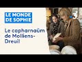 Ref:OSmGUEEmKkw Le monde de sophie : le capharna�m de molliens-dreuil