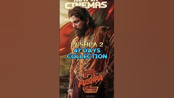 PUSHPA 2 47 DAYS COLLECTION || Box office collection || #shorts