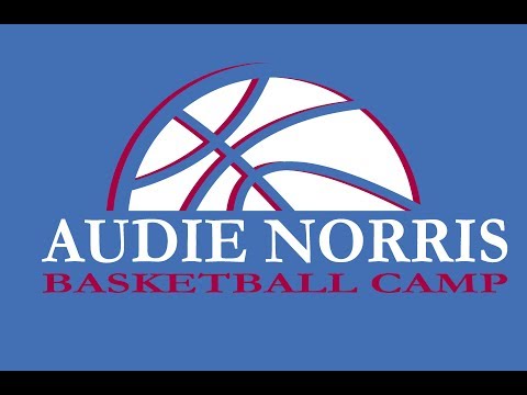 2017 AUDIE NORRIS