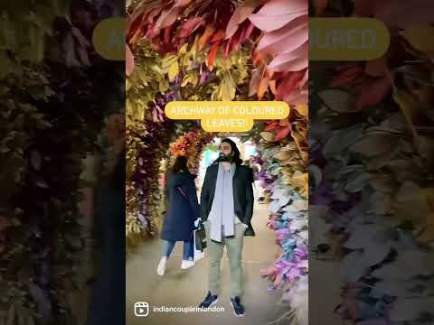 Super colorful leaves