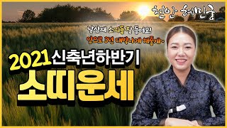 날삼재 소띠들 잘 들어! 앞으로 3년! 이 영상보면 대박날거야! 25세,37세,49세,61세,73세 (천안 …