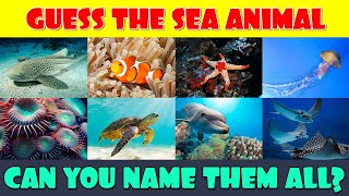 Animal Quiz | Can You Name These 35 Sea Animals? screenshot 3