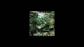 Cave - Hunt Like Devil