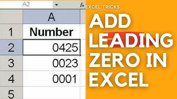 HOW TO KEEP LEADING ZEROS ON LEFT IN EXCEL 2010 VIDEO TUTORIAL