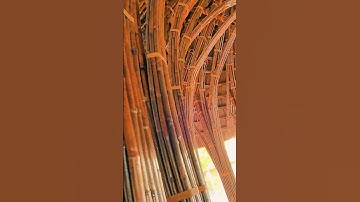 Tre có thể tạo nên những kiệt tác như thế này sao?