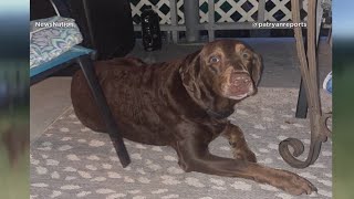 Manhunt for escaped inmate over in Pennsylvania