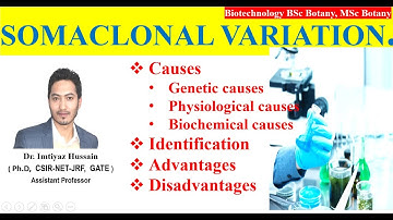 Somaclonal variation: #biotechnology  causes, identification (theories) in Urdu or Hindi with notes.