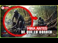 Dron Capta Algo en la Selva, PERO AL HACER ZOOM Nadie Puede Creerlo Documental