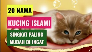 20 Nama kucing islami singkat dan paling mudah untuk di ingat