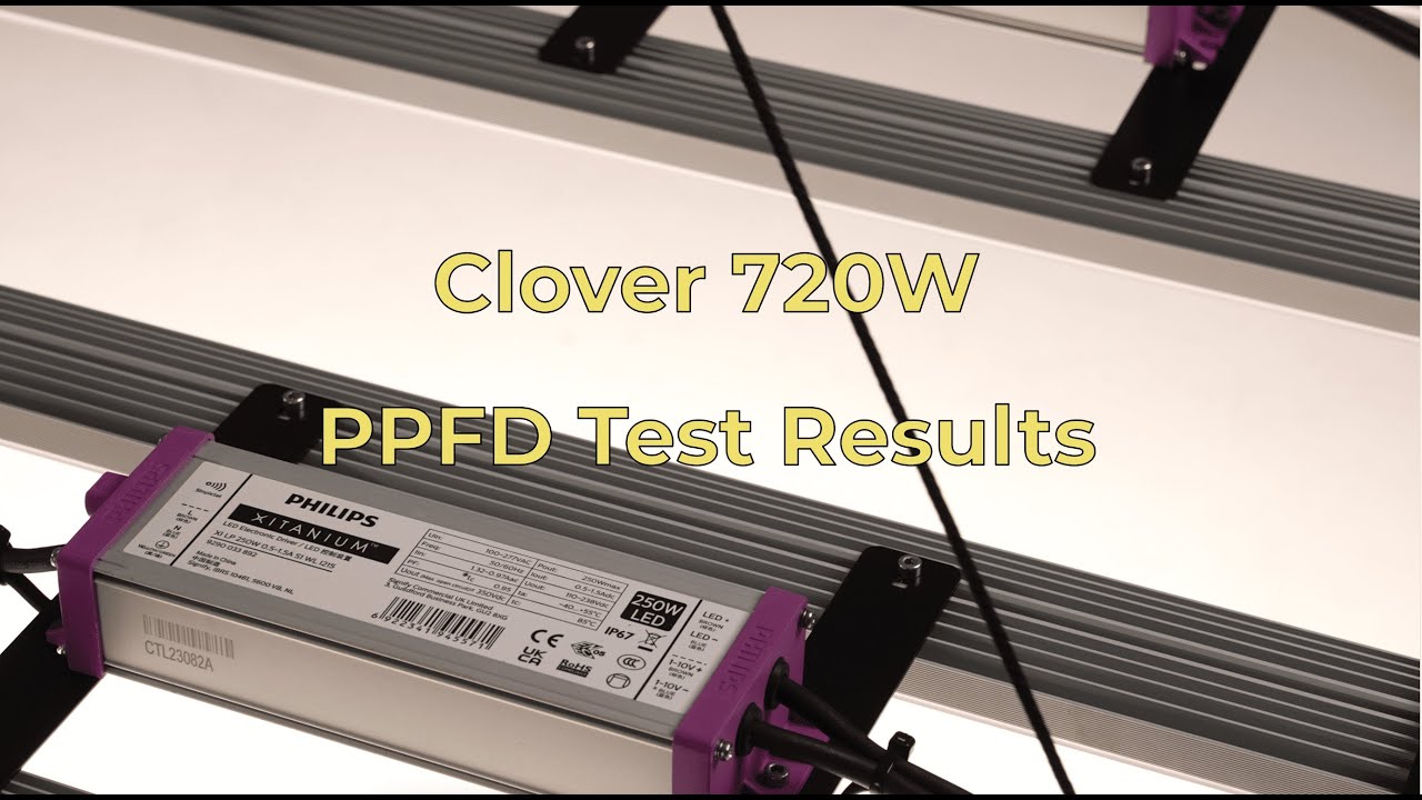 LEDWisdom Clover 720 W Full Spectrum Bitki Yetiştirme Lambası