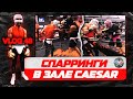 Спарринги в зале Сaesar. Братья Воробьевы. Влог. Профессиональный бокс.