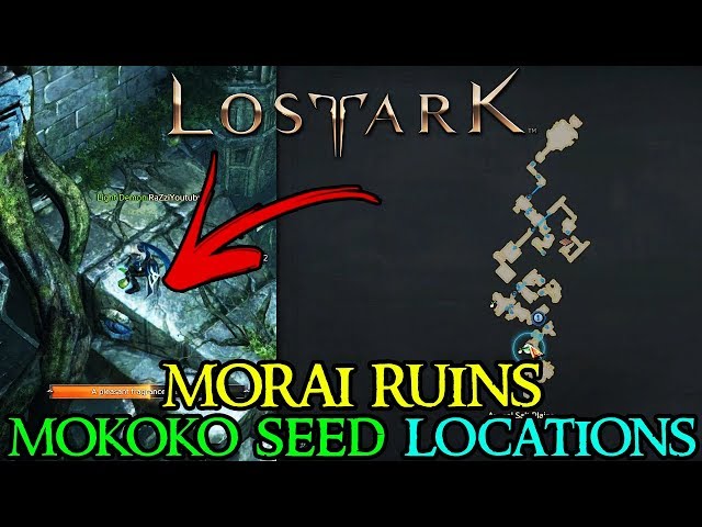 Our Group Reloads in Lost Ark for Morai Ruins