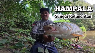 SAMBARAN BRUTAL ‼️ Perdana menggunakan WTD Glue stik di sungai pedalaman Kalimantan.