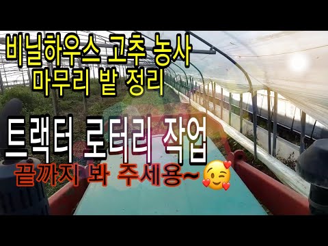 비닐하우스 트랙터 로터리 작업/ 비닐하우스 청양 고추 최종 마무리 (20년02월05일)
