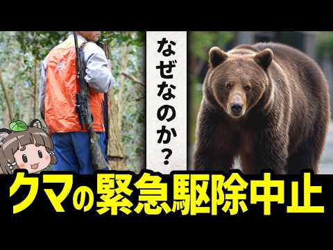 【異常】1日2件の緊急駆除も…北海道でまさかの理由で駆除中止に