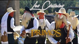 LOS CHILOLOS/VIDEOCLIP OFICIAL/PUROS PRIMOS DE OAXACA chords