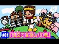 【#81】EIKOがマインクラフトを生配信【地図で宝探し!の巻】