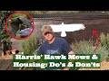 HOW TO: Keep Your Harris’ Hawk, HARRIS’ HAWK MEWS, Housing Your Bird of Prey, Freeloft, Perches