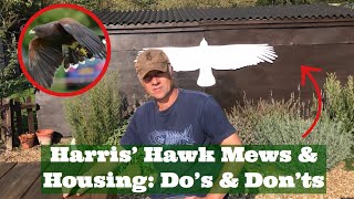 HOW TO: Keep Your Harris’ Hawk, HARRIS’ HAWK MEWS, Housing Your Bird of Prey, Freeloft, Perches