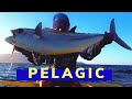 PELAGIC FISH DOGTOOTH TUNA CAUGHT IN JIGGING