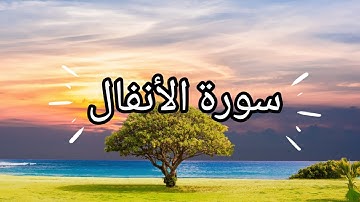 سورة الأنفال كاملة - تلاوة هادئة تريح الاعصاب وتهذب النفس - تلاوة صباحية - قرآن كريم بصوت جميل جدا 😌
