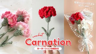 【EN subs・Diagram】Canation flower💐 Easy Crochet Tutorial✨