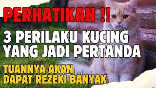 PERHATIKAN..!! Berikut Perilaku Kucing yang Mendatangkan Rezeki Besar Bagi Pemiliknya...