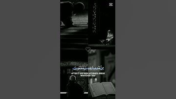 🤲 الذين ينقضون عهد الله تلاوة خاشعة من الذكر الحكيم #cute #دويتو #duet #لايك