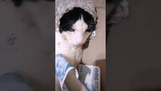 Nerde Yedin Paraları Söyle