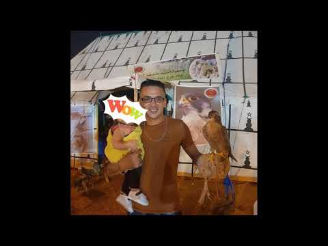 احسن نهار داز في دكالة منطقت القواسم 